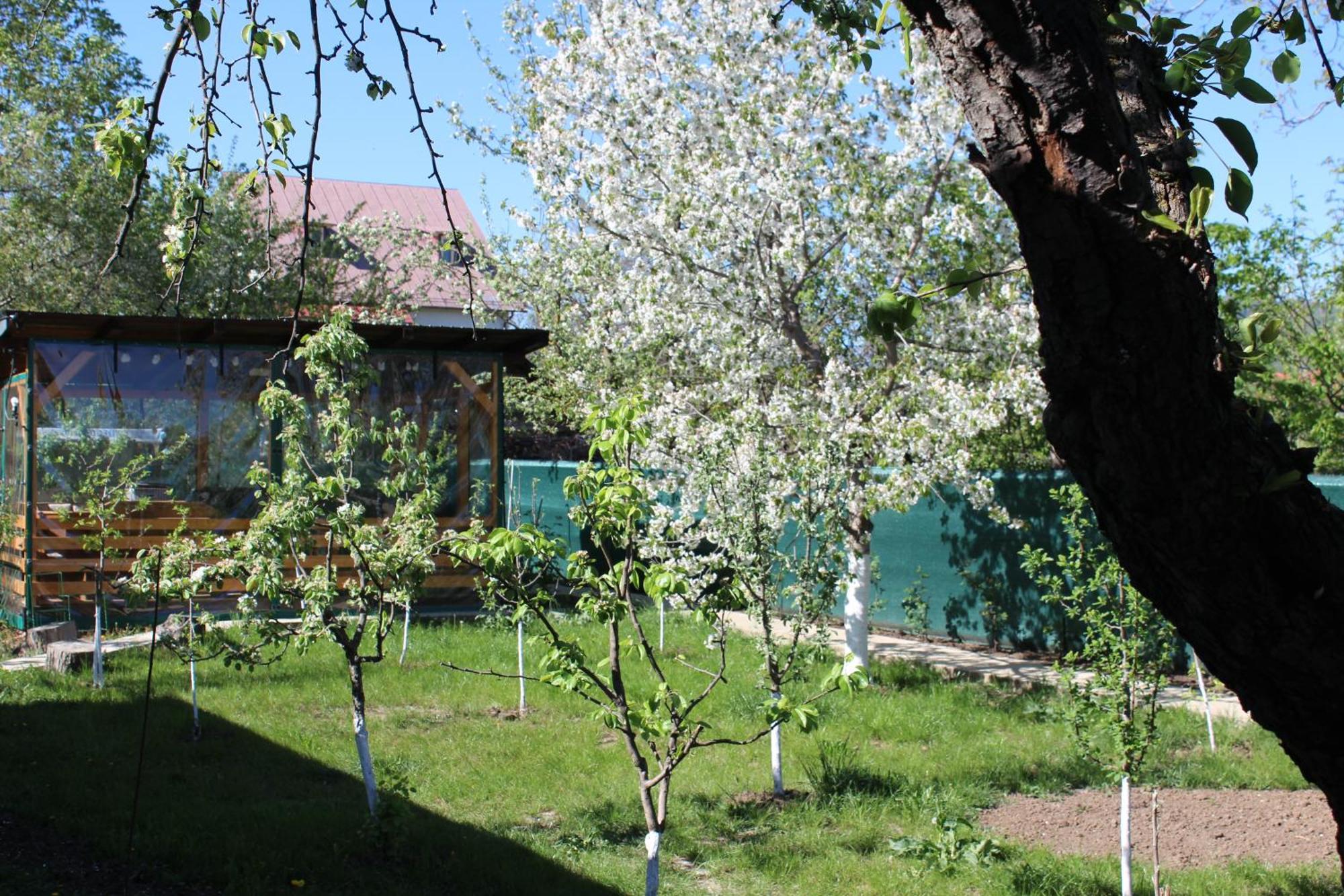 Casuta Artistilor Breaza (Prahova) Exterior foto