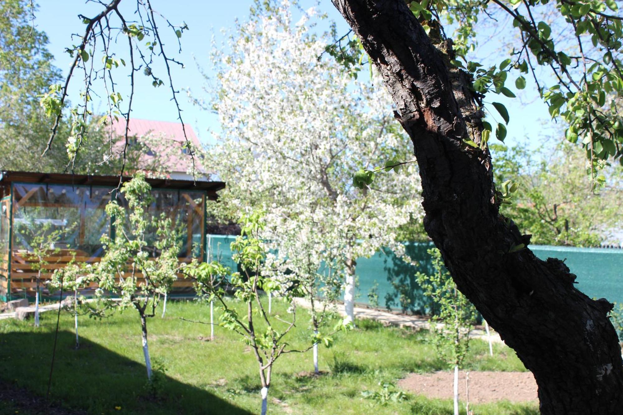 Casuta Artistilor Breaza (Prahova) Exterior foto