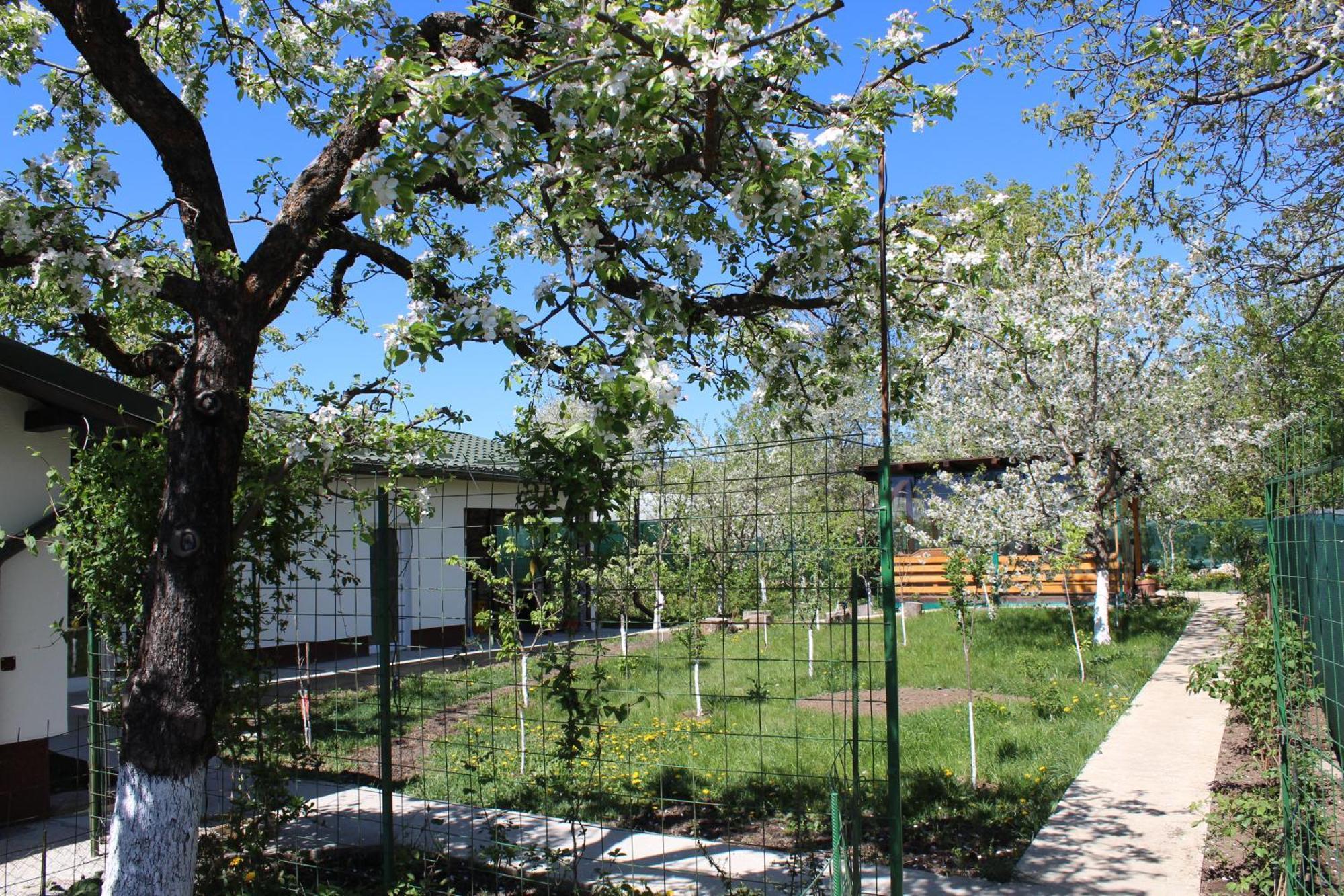 Casuta Artistilor Breaza (Prahova) Exterior foto